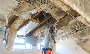 Best Mold Damage Restoration  in Walnut, CA